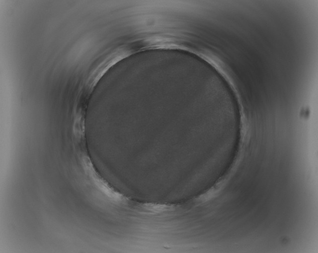 X0000112851289200909041521