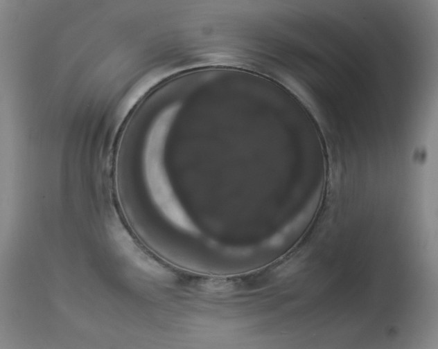 X0000112851291200909041521