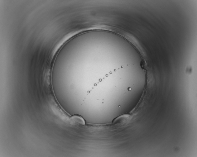 X0000112851292200909041521