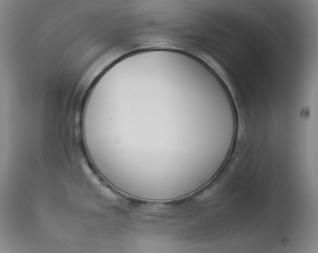 X0000112851293200909041521