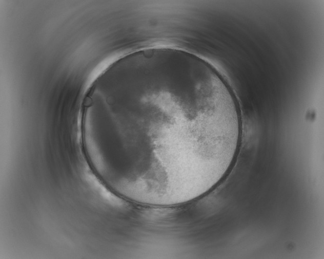 X0000112851294200909041521