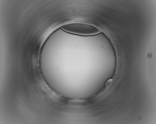 X0000112851296200909041521