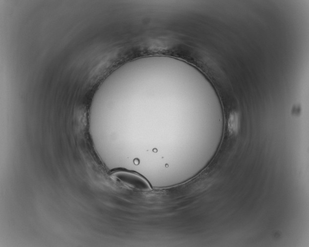 X0000112851299200909041520