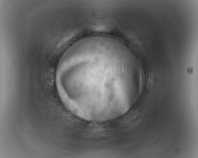 X0000112851301200909041520