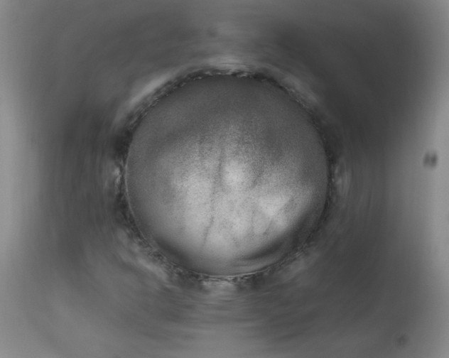 X0000112851302200909041520