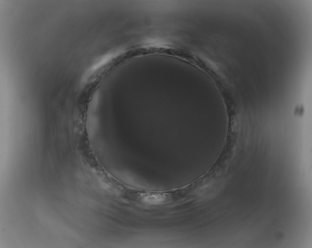 X0000112851303200909041520