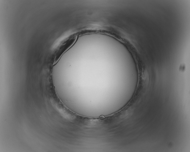 X0000112851304200909041520