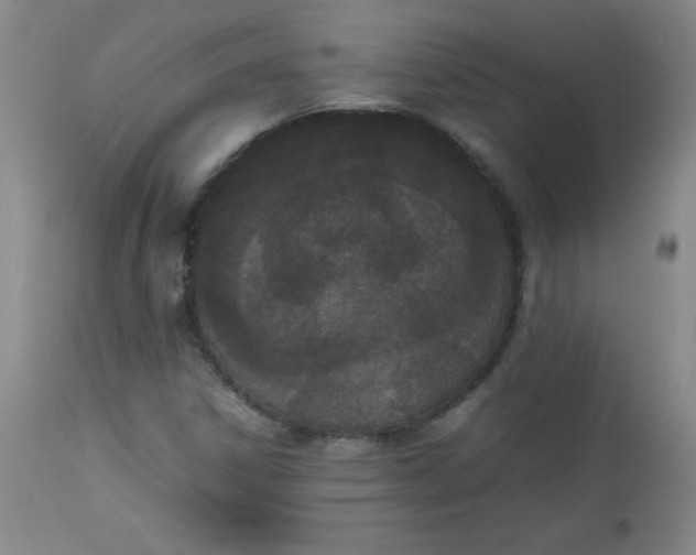 X0000112851306200909041520