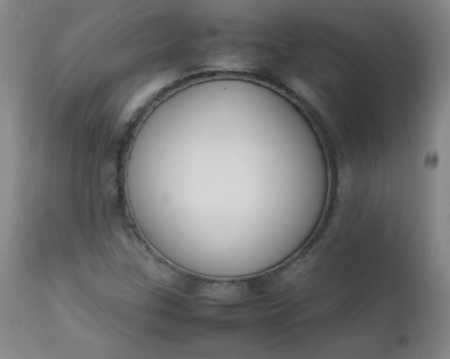 X0000112851307200909041520