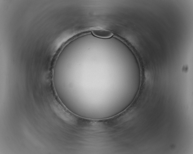 X0000112851308200909041520