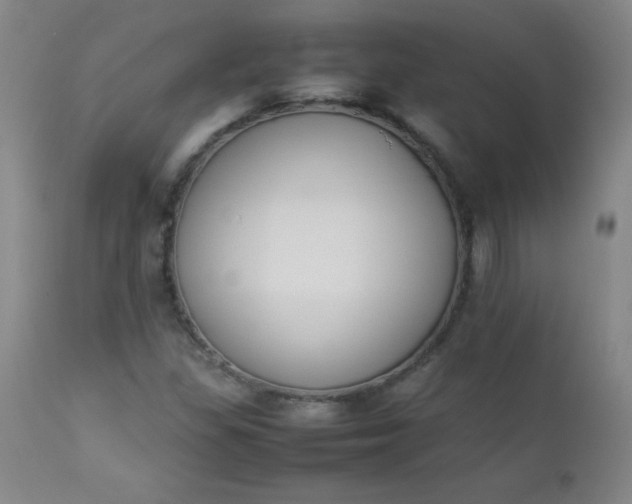 X0000112851309200909041520