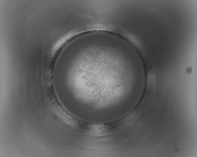 X0000112851310200909041520