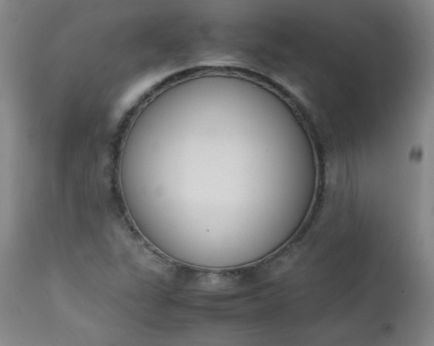 X0000112851311200909041520