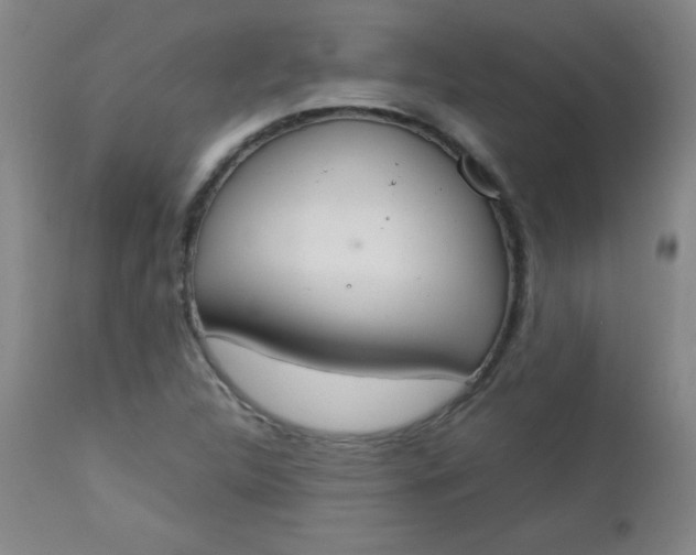 X0000112851312200909041520