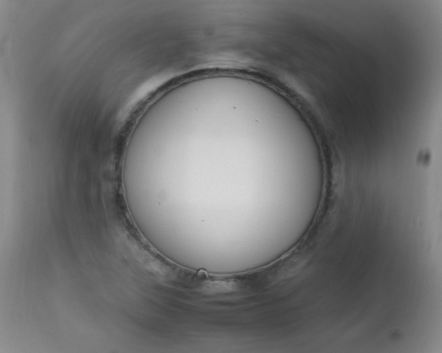 X0000112851315200909041520