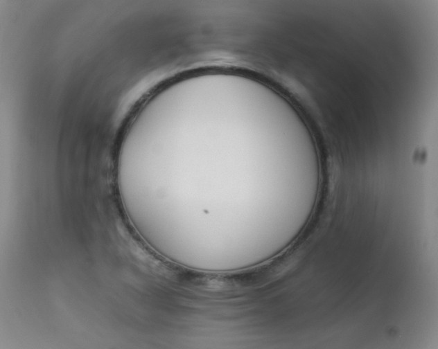 X0000112851318200909041520