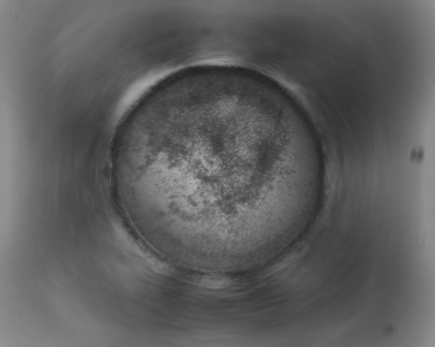 X0000112851319200909041520