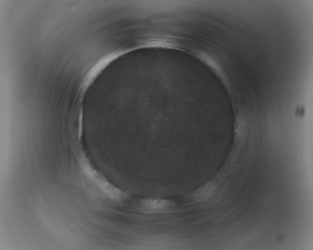 X0000112851323200909041520