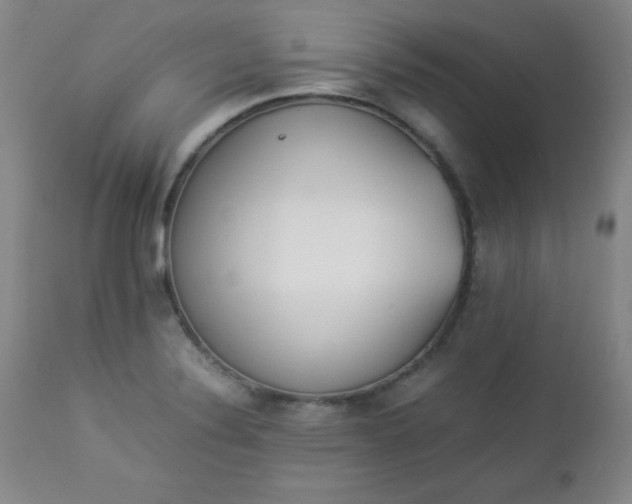 X0000112851324200909041520