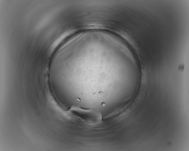 X0000112851325200909041520