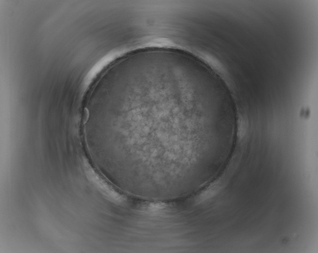 X0000112851326200909041520