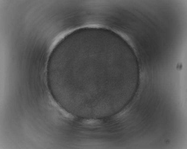 X0000112851327200909041520