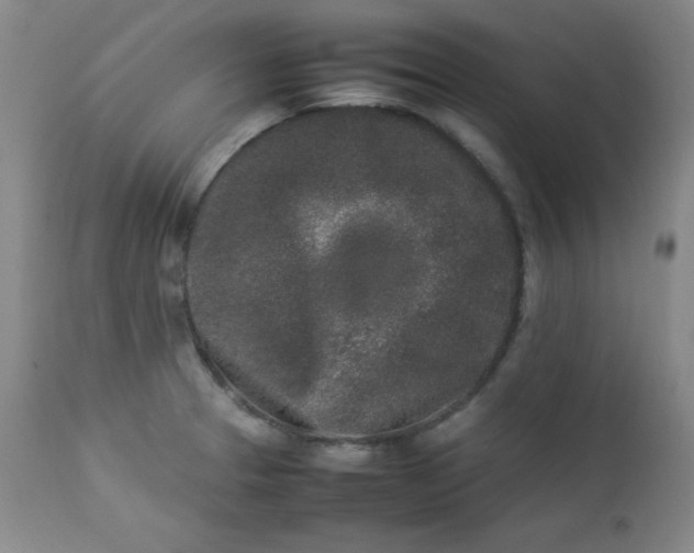 X0000112851329200909041520