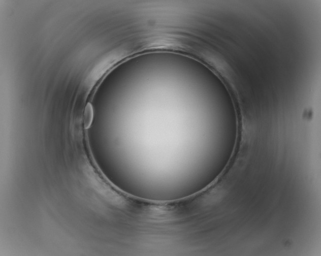 X0000112851330200909041520