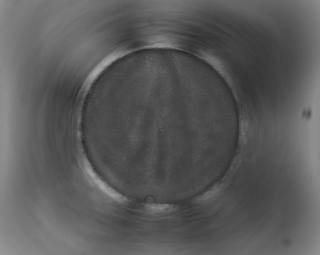 X0000112851331200909041520