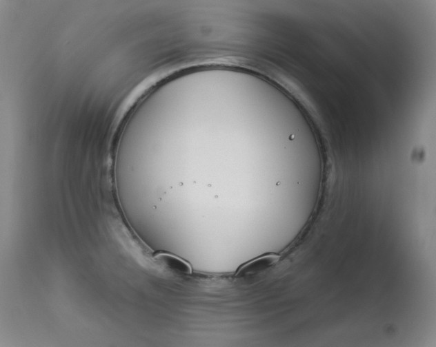 X0000112851332200909041521