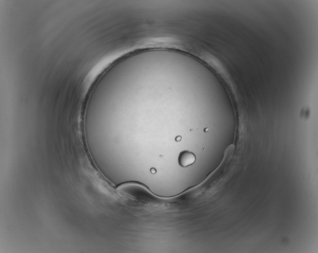 X0000112851336200909041521