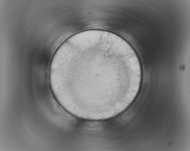 X0000112851338200909041521