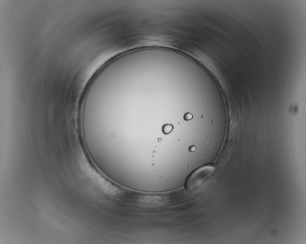 X0000112851339200909041521