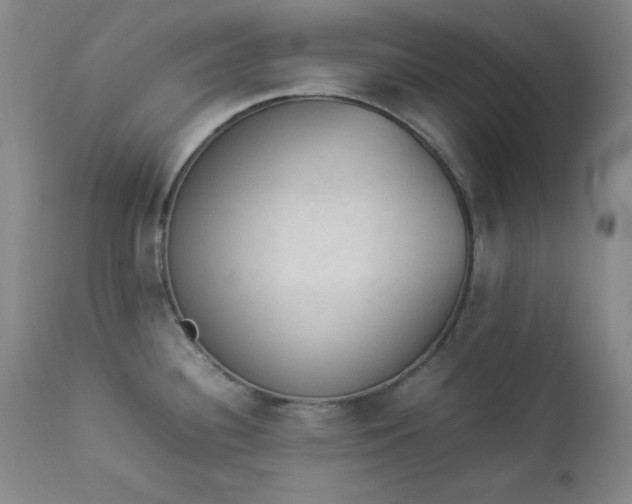 X0000112851340200909041521