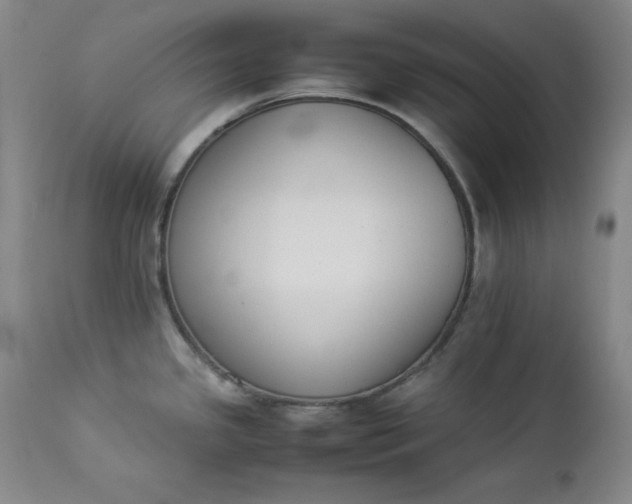 X0000112851341200909041521