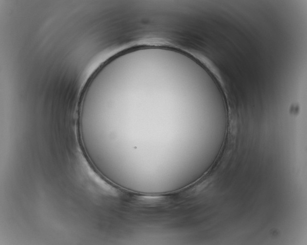 X0000112851343200909041521