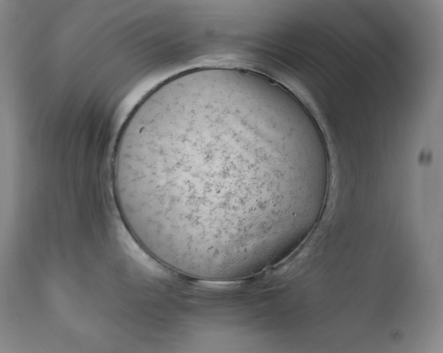 X0000112851344200909041521