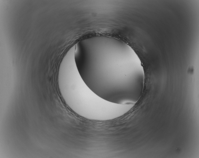 X0000112851345200909041520