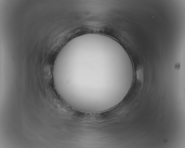 X0000112851347200909041520