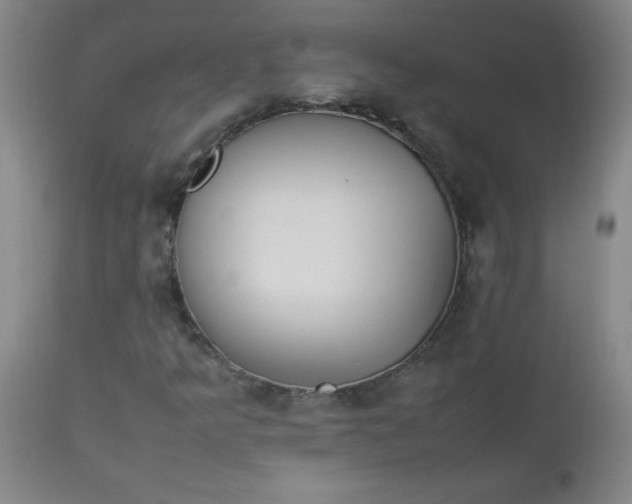 X0000112851349200909041520