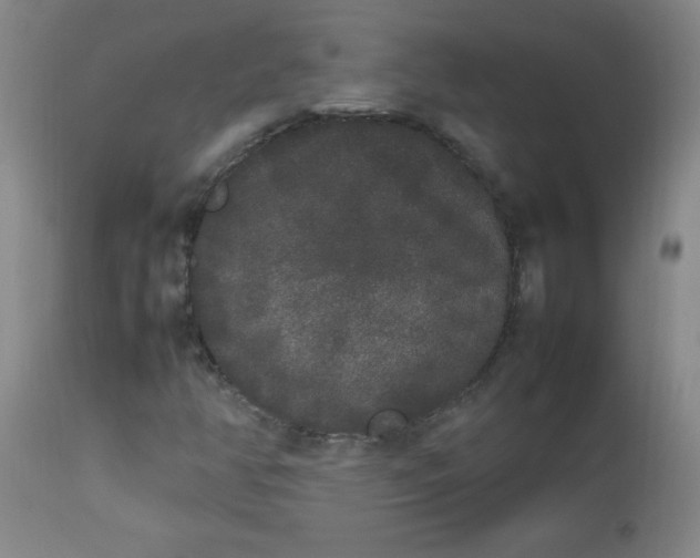 X0000112851350200909041520