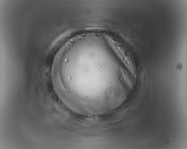 X0000112851351200909041520