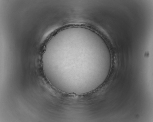 X0000112851352200909041520