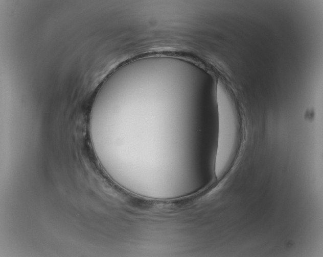 X0000112851353200909041520