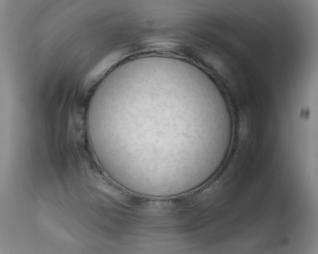 X0000112851354200909041520