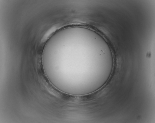 X0000112851355200909041520