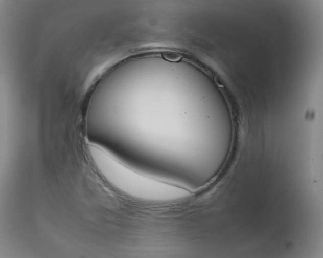 X0000112851357200909041520