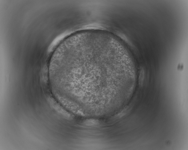 X0000112851358200909041520