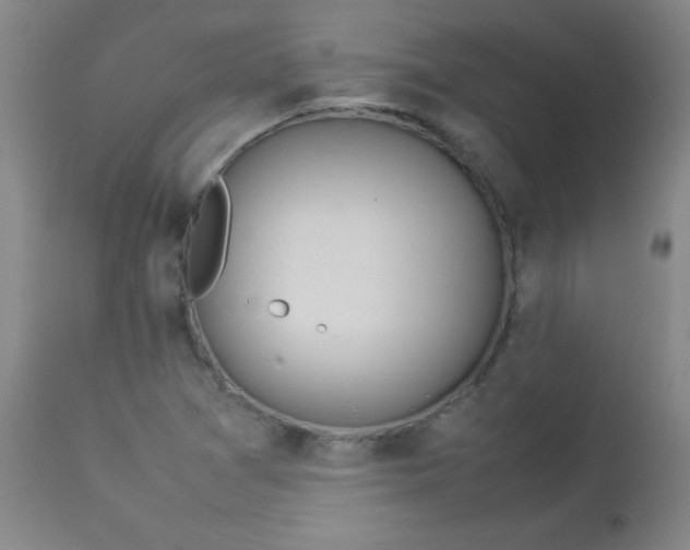 X0000112851361200909041520