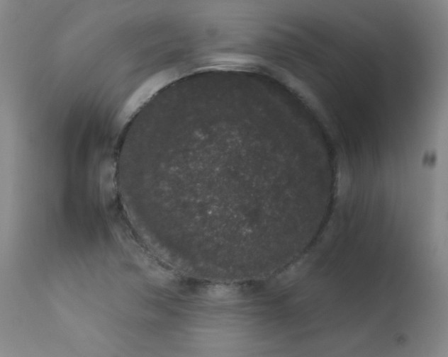 X0000112851362200909041520